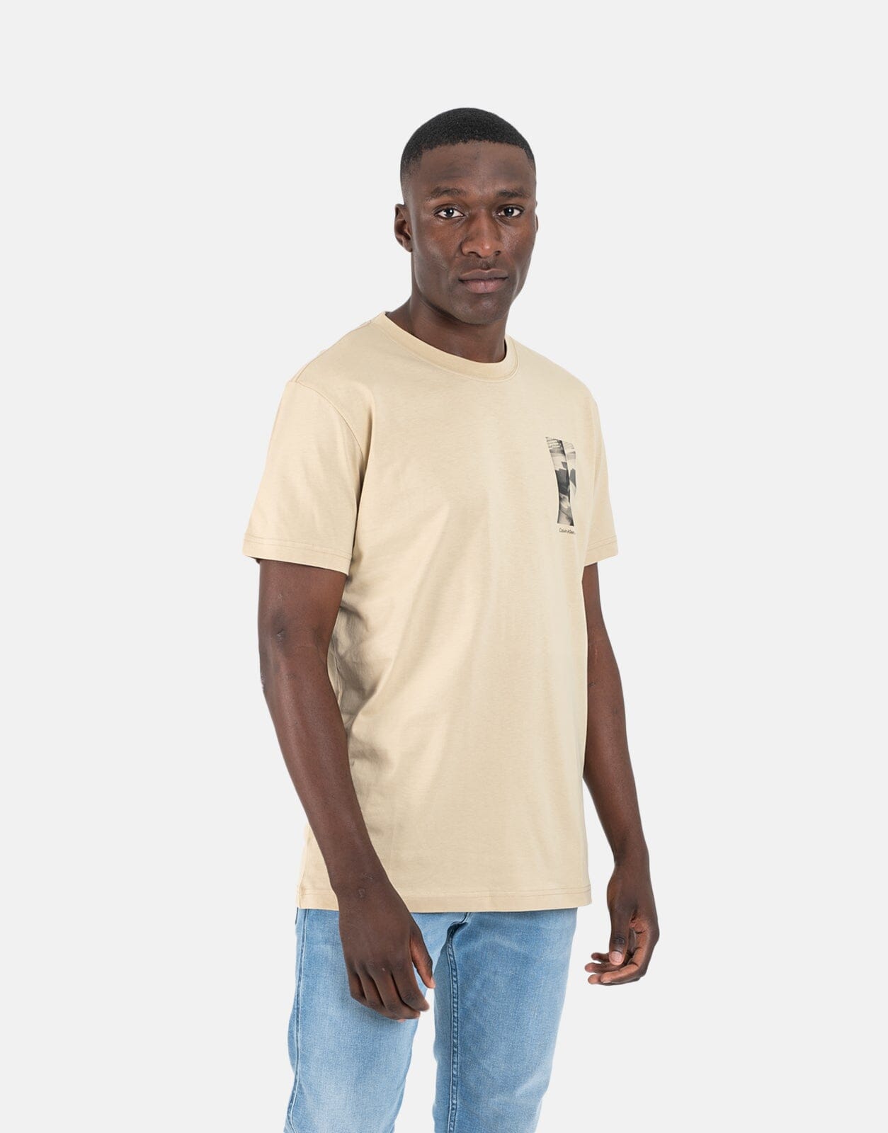 Calvin Klein City Grid Photoprint Khaki T Shirt