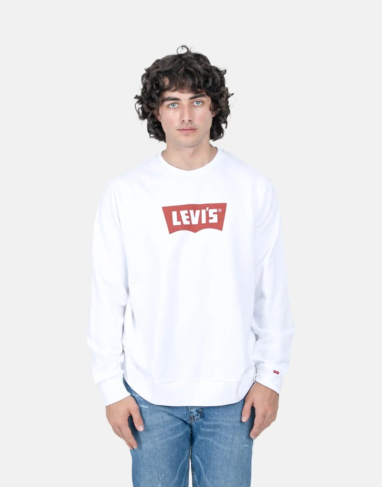 Levi's Standard Graphic Crew Vintage Chill Oil Sweater - Subwear
