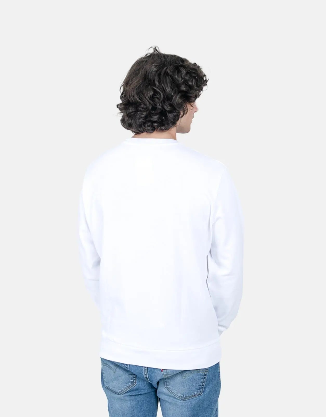 Levi's Standard Graphic Crew Vintage Chill Oil Sweater - Subwear