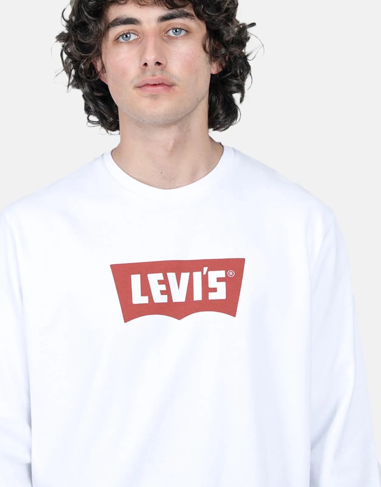 Levi's Standard Graphic Crew Vintage Chill Oil Sweater - Subwear