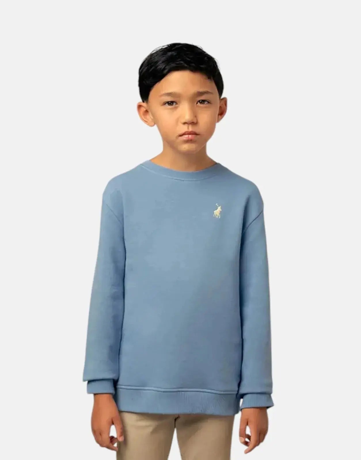 Polo Boys Adrian Blue Sweatshirt - Subwear