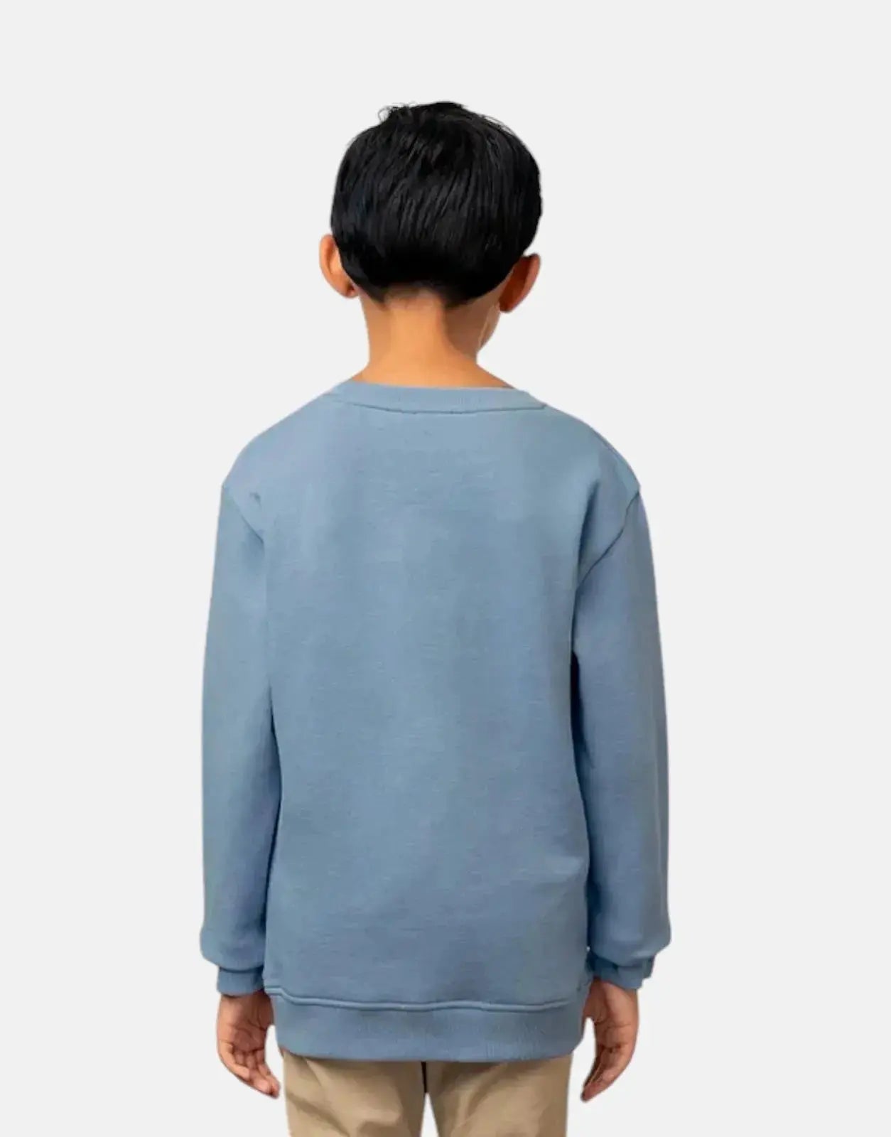 Polo Boys Adrian Blue Sweatshirt - Subwear