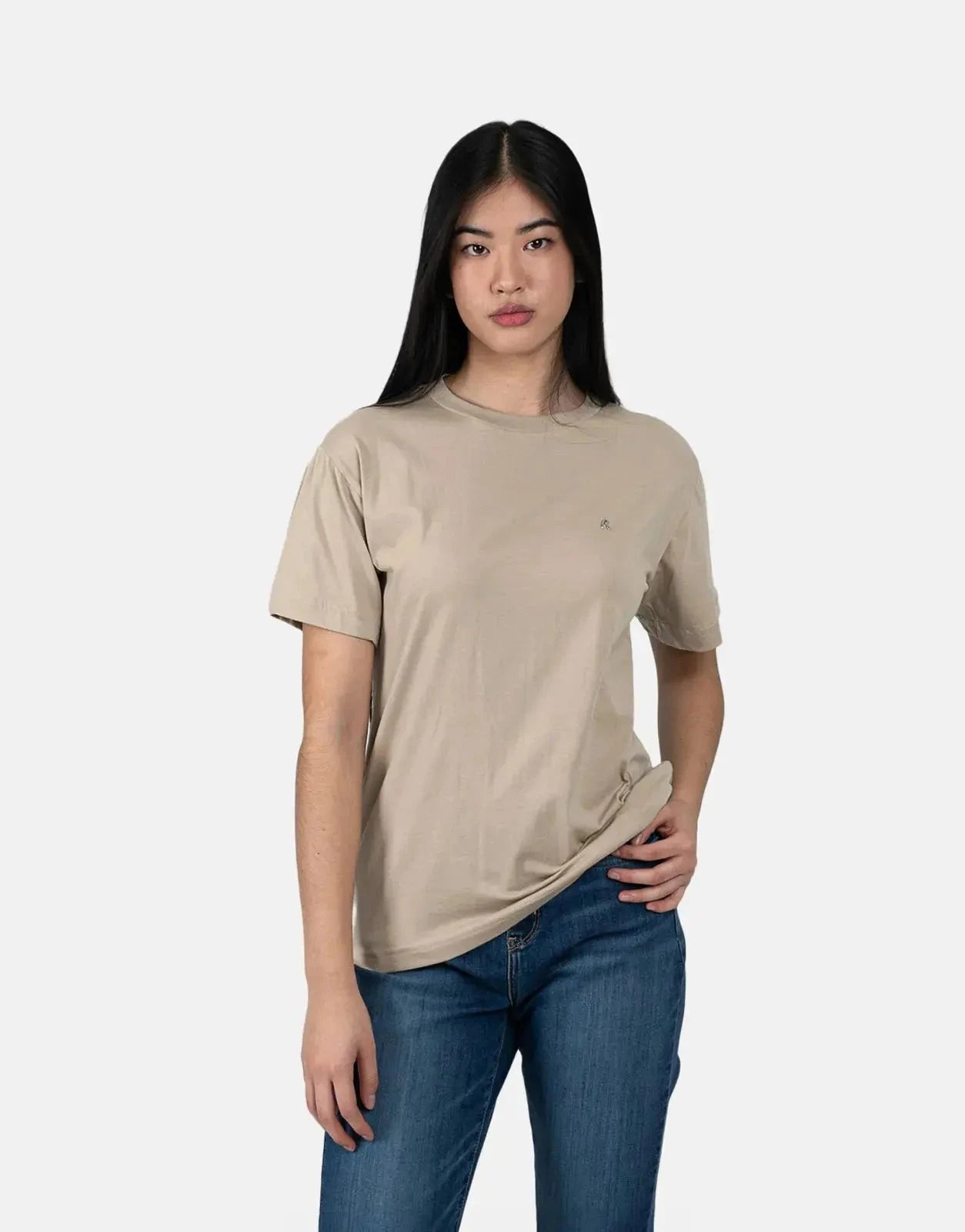 Replay R-Logo Brown T-Shirt - Subwear