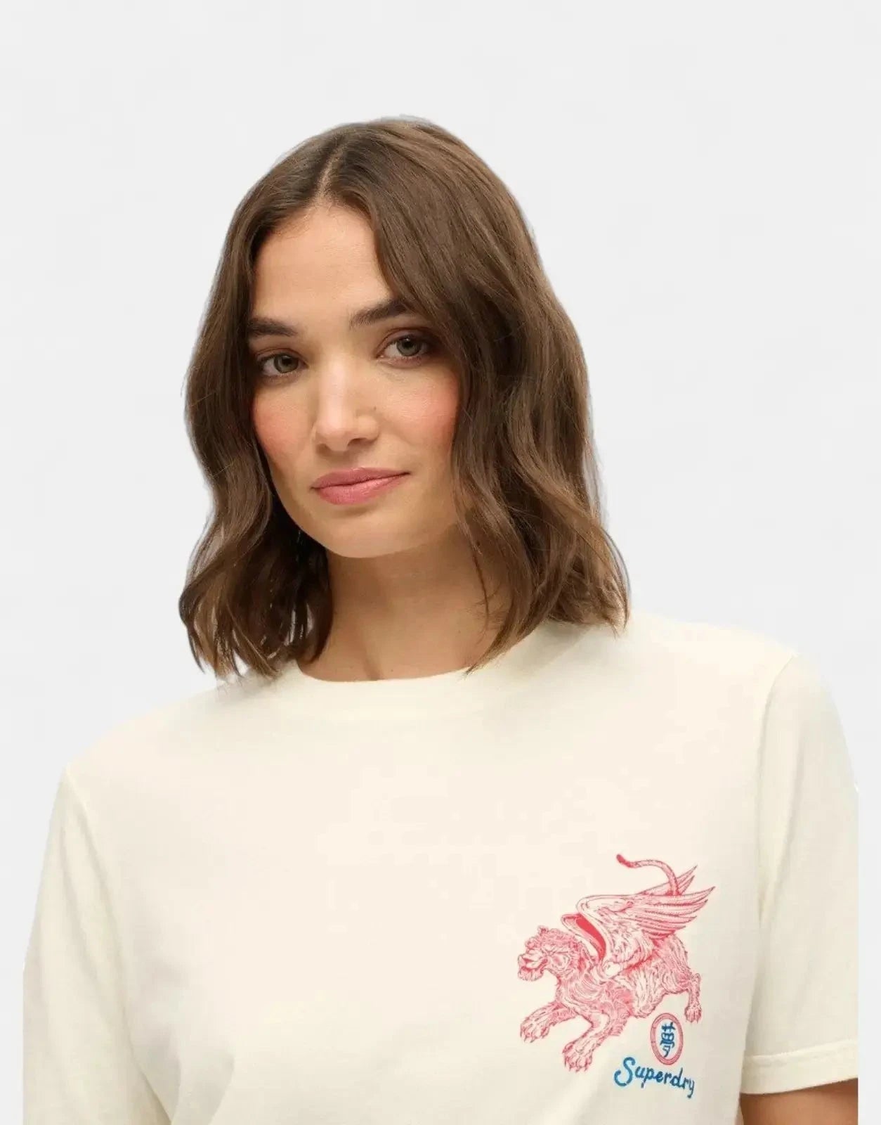 Superdry Tokyo Narrative Offwhite Relaxed T-Shirt - Subwear