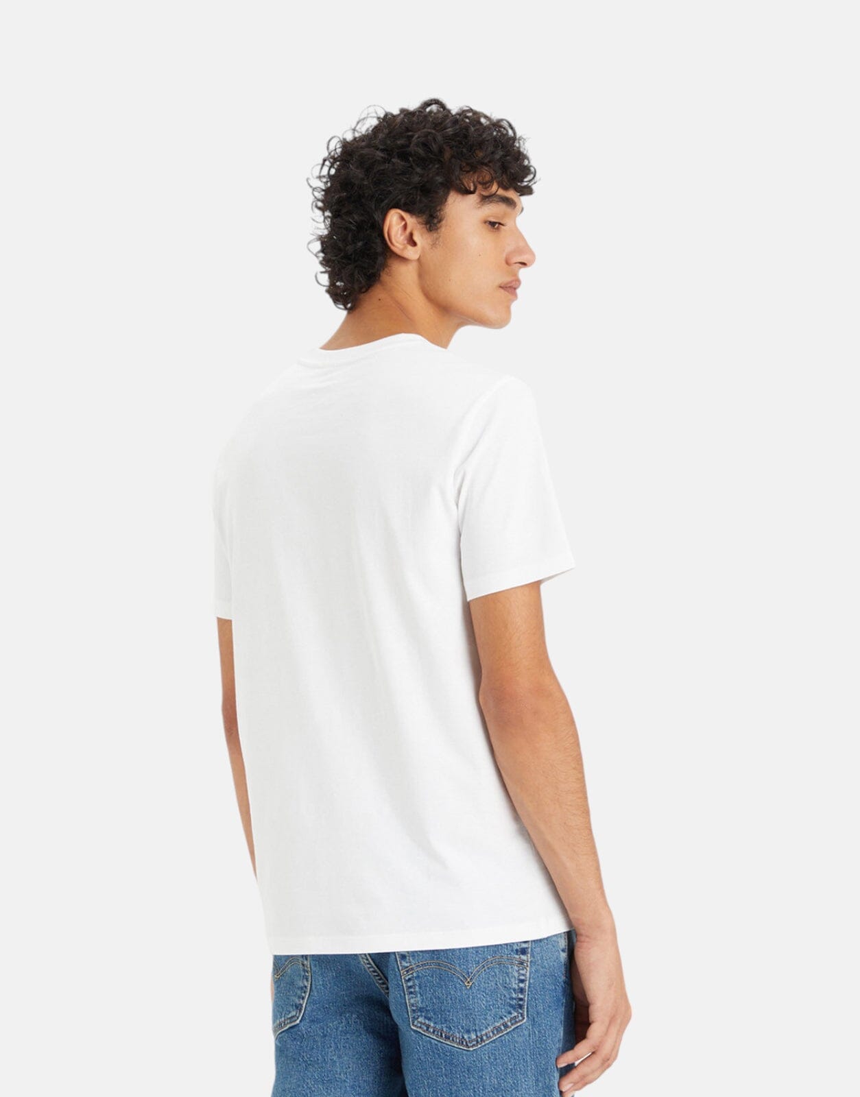 Levi's Graphic Arched Type 7 T-Shirt - Subwear