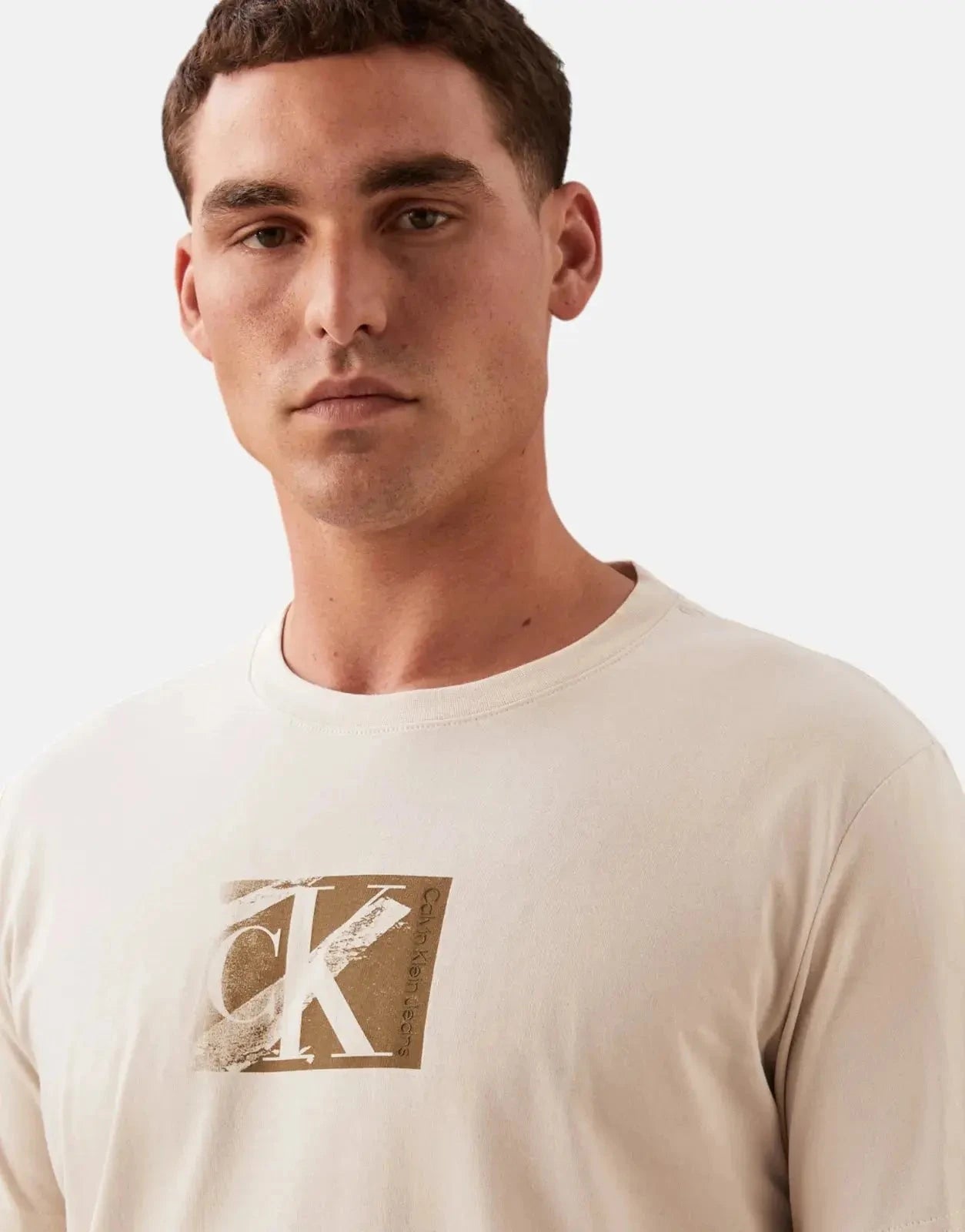 Calvin Klein Small CK Box Beige T-Shirt - Subwear