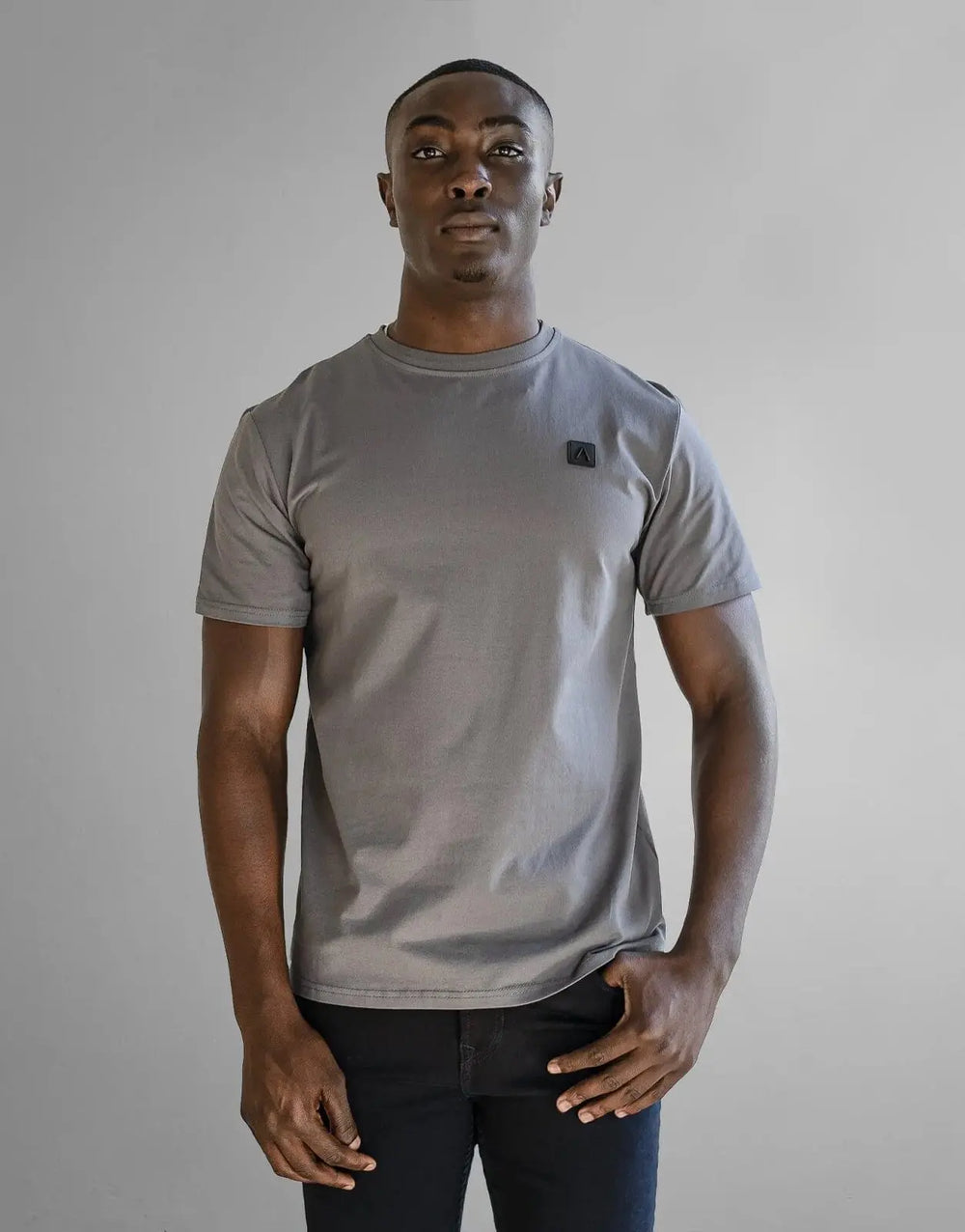 Fade Iconic Badge Grey T-Shirt - Subwear