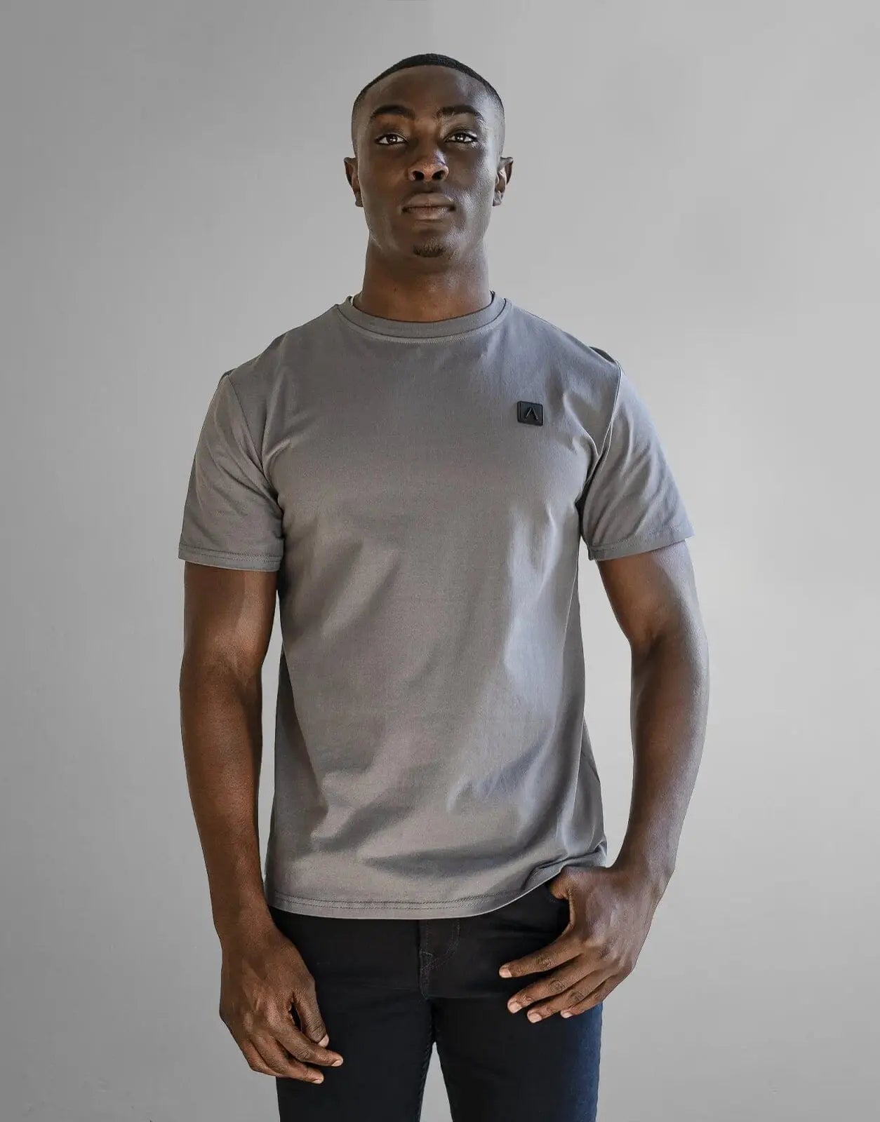 Fade Iconic Badge Grey T-Shirt - Subwear