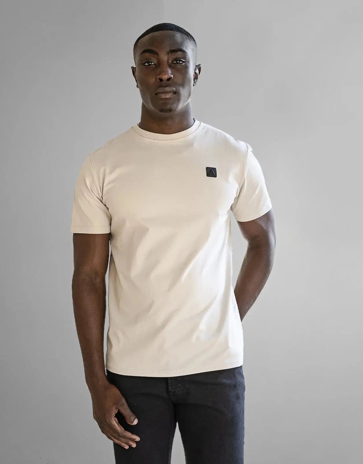 Fade Iconic Badge Stone T-Shirt - Subwear