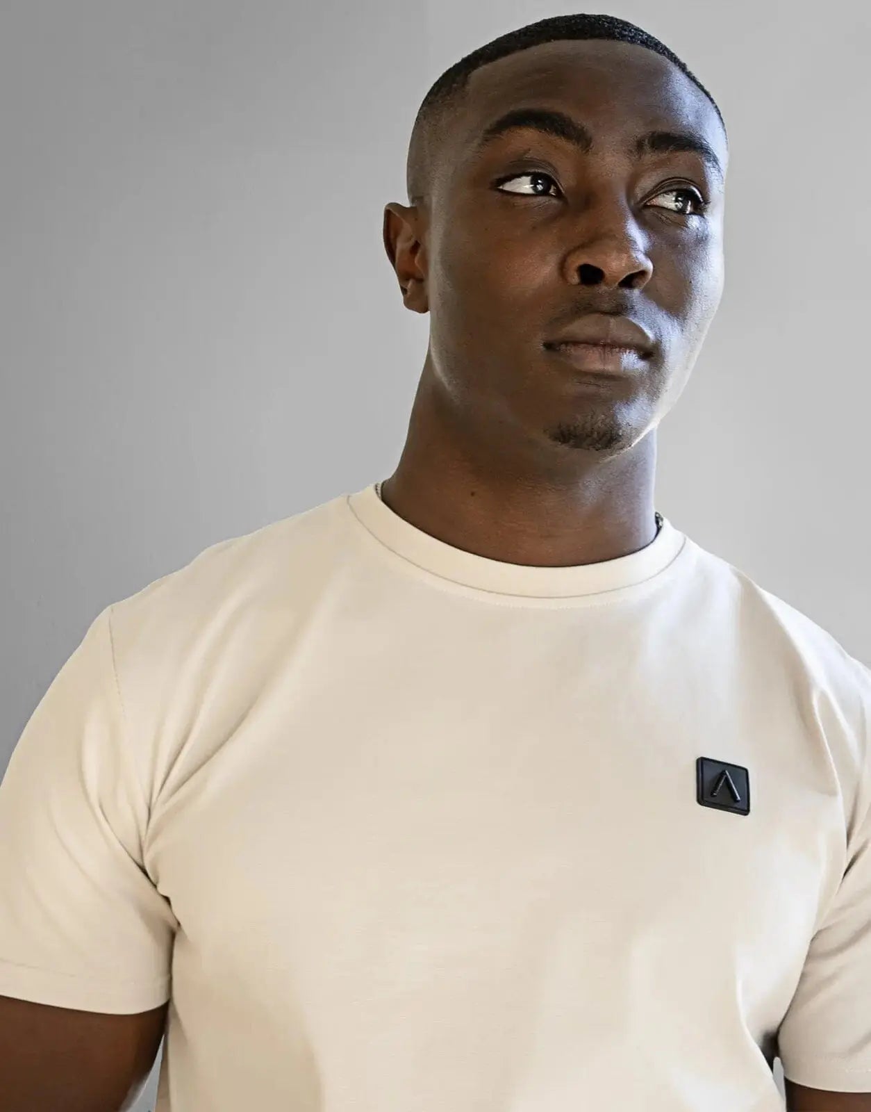 Fade Iconic Badge Stone T-Shirt - Subwear