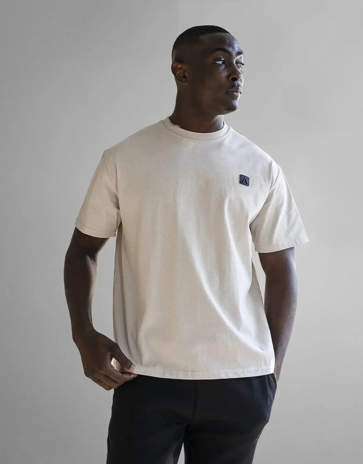 Fade Iconic Boxy Stone T-Shirt - Subwear