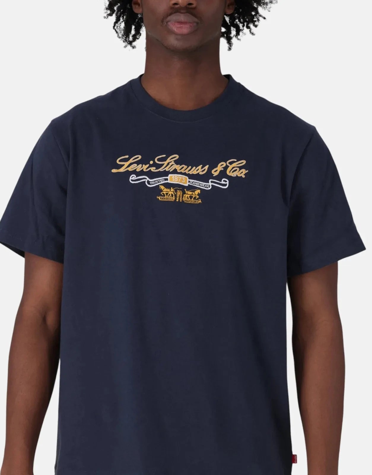 Levi's LS&Co Prep Script Relaxed Fit Navy T-Shirt - Subwear