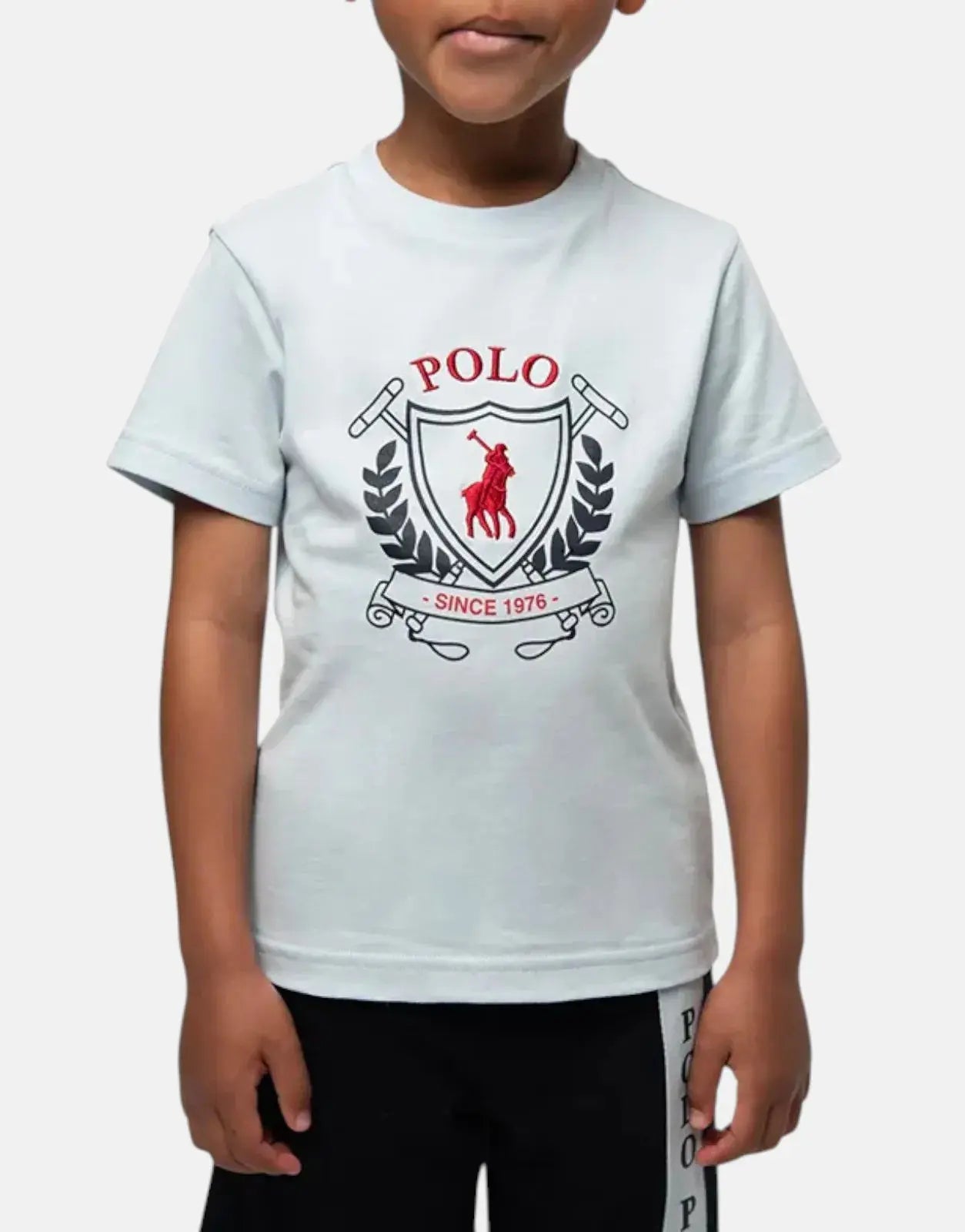 Polo Boys Cory Crested Sky Blue T-Shirt - Subwear