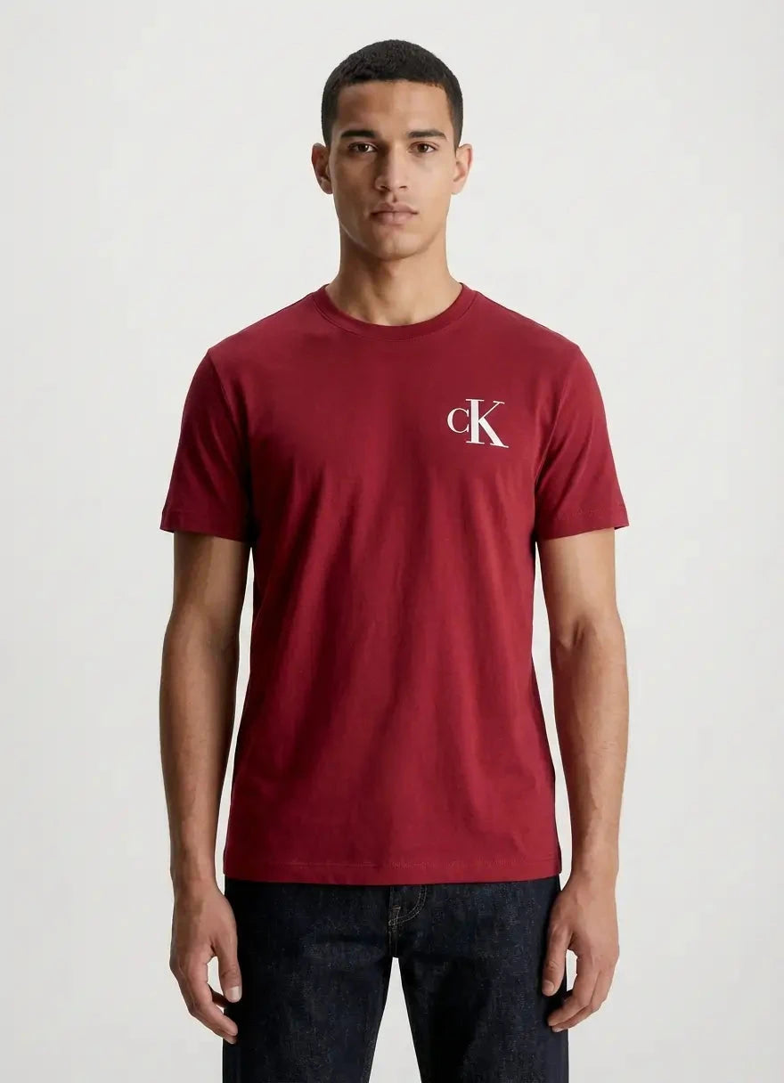 Calvin Klein Chest Logo T-Shirt Red - Subwear