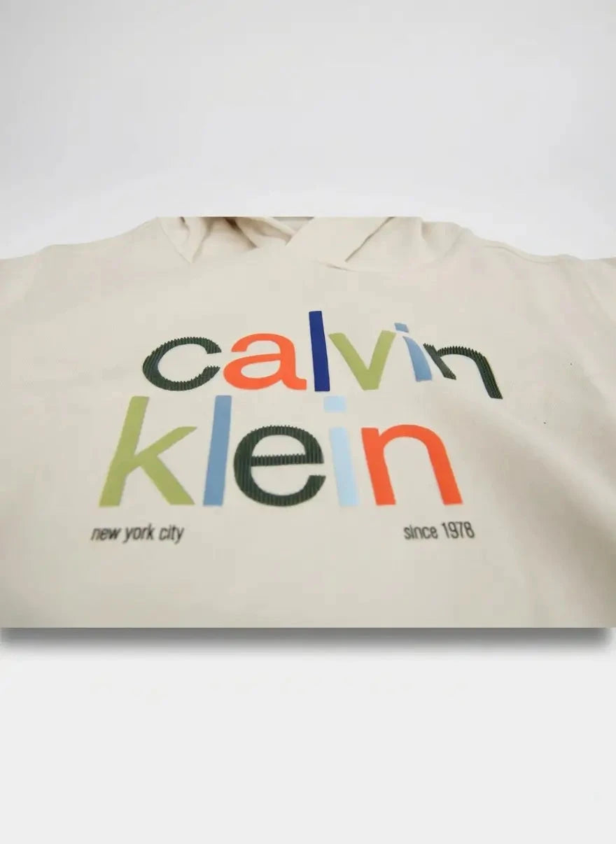 Calvin Klein Kids Color Logo Hoodie - Subwear