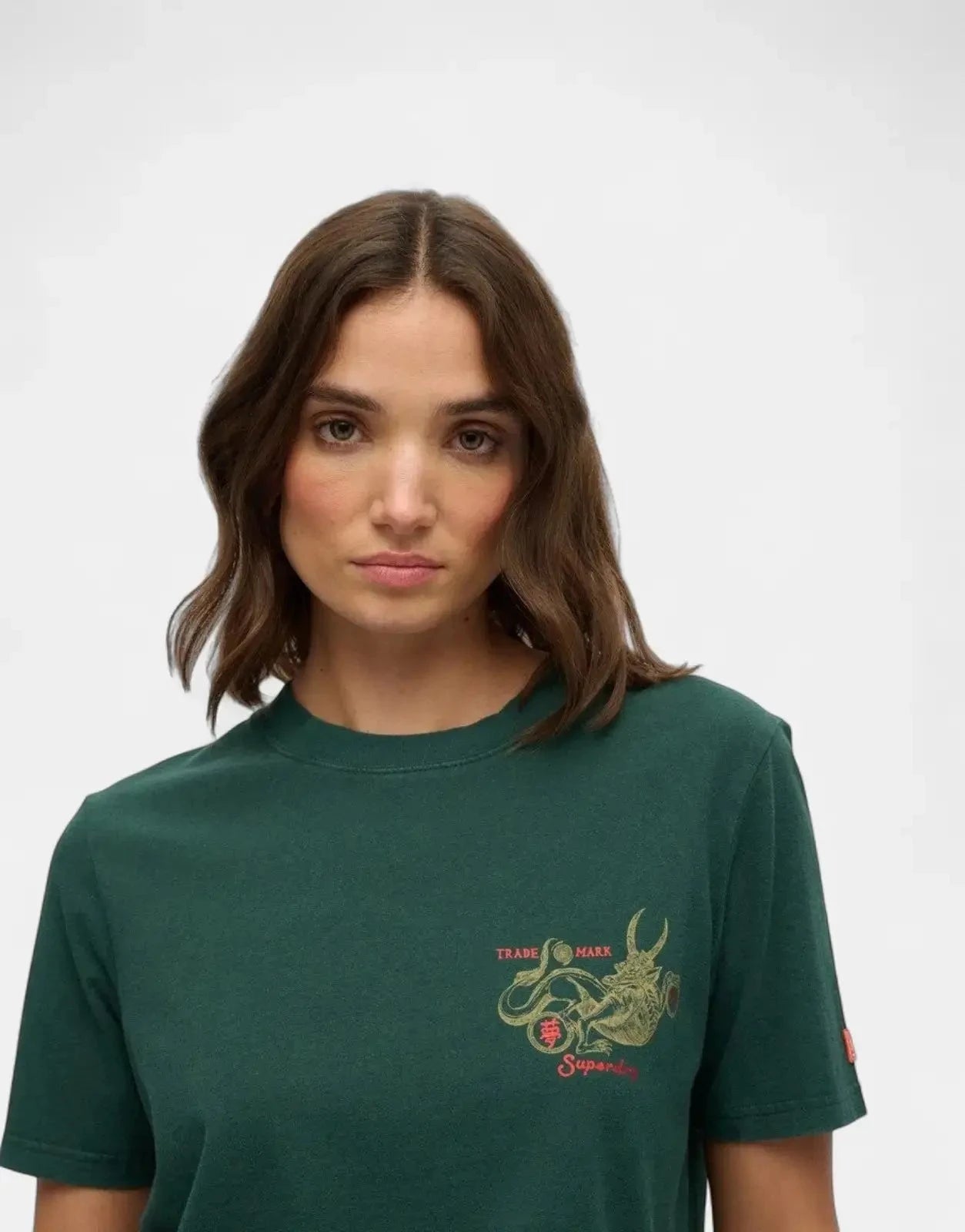 Superdry Tokyo Narrative Enamel Green Relaxed T-Shirt - Subwear